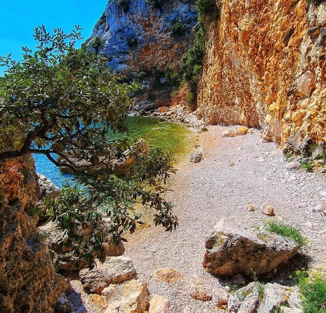 Appartement Guesthouse Villa Brestova Plomin Kroatië