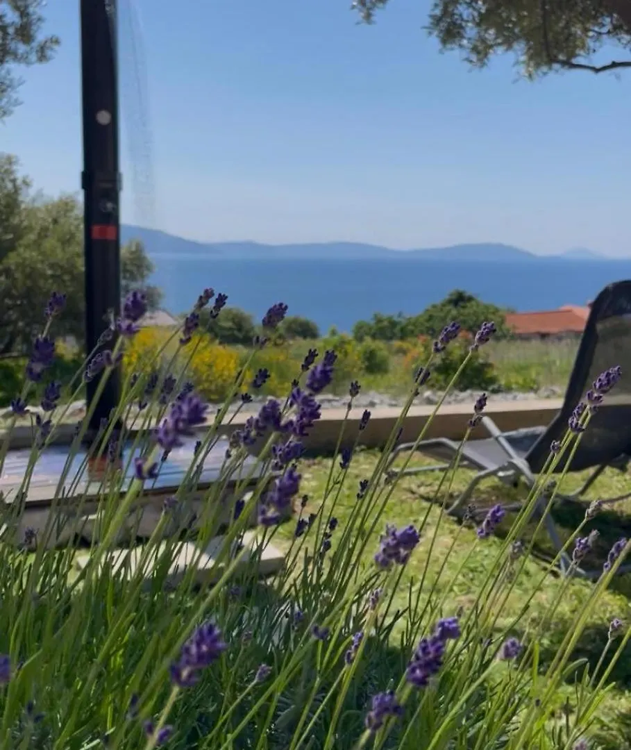 Appartement Guesthouse Villa Brestova Plomin